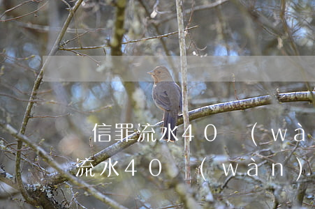 幫信罪流水40萬(wàn)怎么判(幫信罪流水40萬(wàn)怎么判)