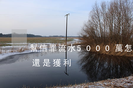 幫信罪流水5000萬怎么判(幫信罪看流水還是獲利)