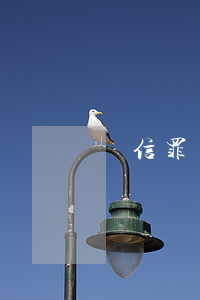 幫信罪獲利5萬(幫信罪獲利5萬罰金多少)