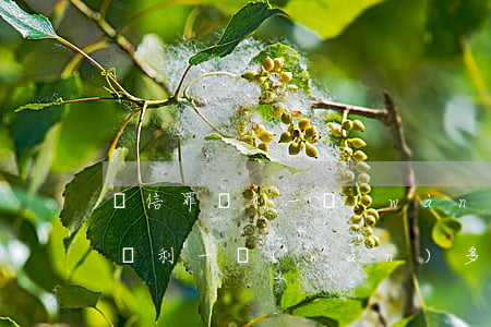 幫信罪獲利一萬(wàn)多算多嗎(幫信罪獲利一萬(wàn)多算多嗎)