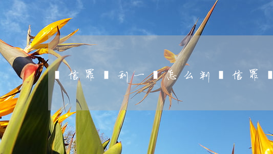 幫信罪獲利一萬怎么判(幫信罪罰多少款)