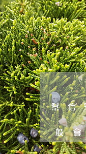 幫信罪獲利兩萬(wàn)判多久(幫信罪一般會(huì)判多久)