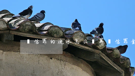 幫信罪的流水怎么計算(幫信罪金額)