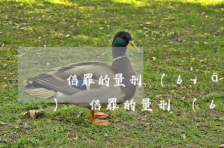 幫信罪的量刑標(biāo)準(zhǔn)(幫信罪的量刑標(biāo)準(zhǔn)流水)