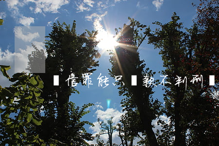 幫信罪能只罰款不判刑嗎(幫信罪量刑)