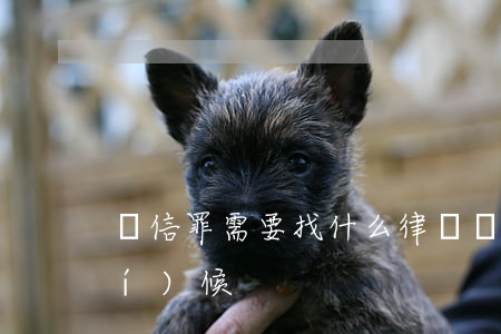 幫信罪需要找什么律師(幫信罪什么時(shí)候)