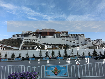 幫公司擔(dān)保貸款逾期被起訴(擔(dān)保公司貸款逾期后果)