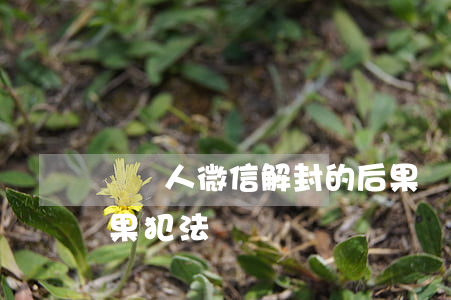 幫別人微信解封的后果(幫別人微信解封的后果犯法嗎)
