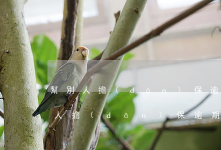 幫別人擔(dān)保逾期有什么影響(幫別人擔(dān)保逾期有什么影響)