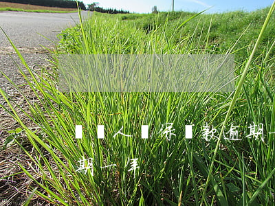 幫別人擔保貸款逾期一年(幫別人擔保貸款逾期一年)