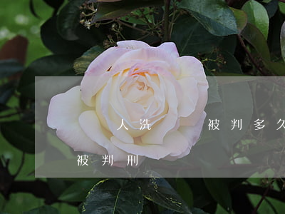 幫別人洗錢會被判多久(被騙幫別人洗錢了會被判刑嗎)
