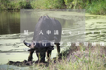 幫別人申請(qǐng)逾期芝麻修復(fù)行嗎(芝麻逾期修復(fù)可以修復(fù)多久的)