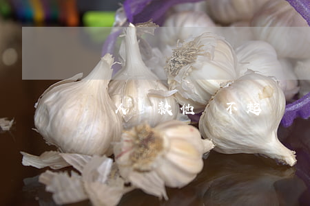 幫別人貸款他還不起