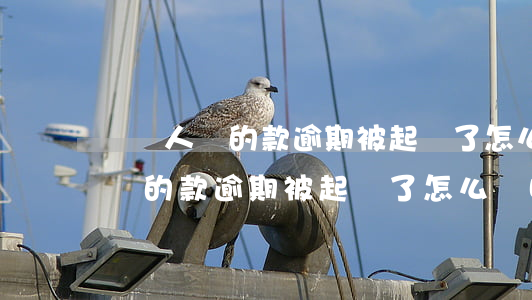 幫別人貸的款逾期被起訴了怎么辦-幫別人貸的款逾期被起訴了怎么辦呢