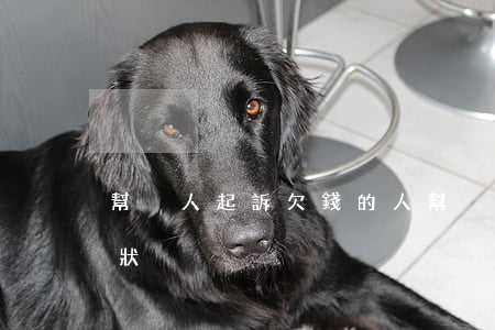 幫別人起訴欠錢的人(幫別人起訴怎么寫起訴狀)