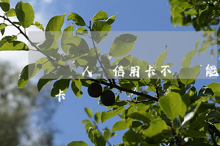 幫別人辦信用卡不還錢(能不能幫別人還信用卡)
