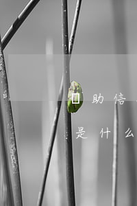 幫助信息網(wǎng)絡(luò)犯罪是什么罪(幫助信息網(wǎng)絡(luò)犯罪活動(dòng)罪的界定)