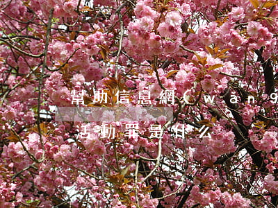 幫助信息網(wǎng)絡(luò)犯罪活動罪是什么