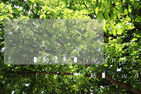 幫助信息網(wǎng)絡活動罪是什么(協(xié)助網(wǎng)絡信息活動罪)