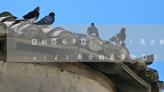 幫助信用卡協(xié)商分期(信用卡協(xié)商分期最多能幾年)