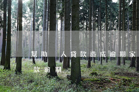 幫助別人貸款造成逾期(家人用自己的名義貸款逾期)