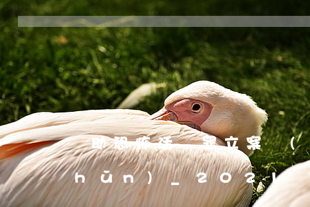 幫助恐怖活動罪立案標(biāo)準(zhǔn)_2021幫助恐怖活動罪量刑標(biāo)準(zhǔn)和認(rèn)定構(gòu)成要件