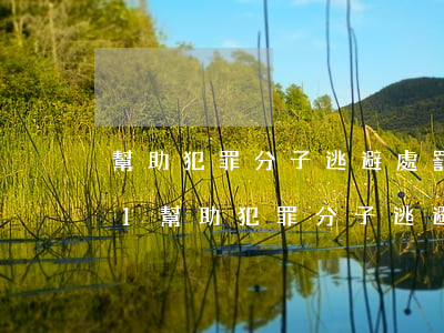 幫助犯罪分子逃避處罰罪立案標準_2021幫助犯罪分子逃避處罰罪量刑標準和認定構成要件