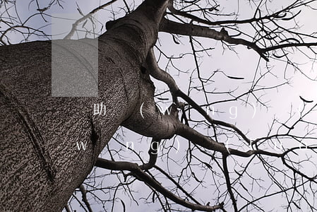 幫助網(wǎng)絡(luò)詐騙(網(wǎng)絡(luò)詐騙罪量刑標(biāo)準(zhǔn)2020)