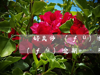 幫好友修復(fù)逾期芝麻粒 芝麻粒修復(fù)逾期記錄可以修復(fù)幾次