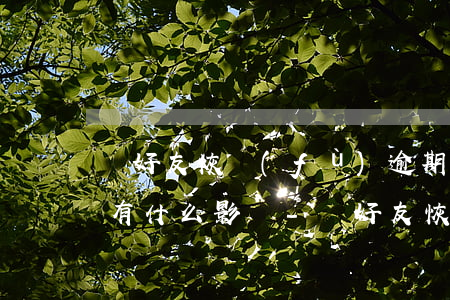幫好友恢復(fù)逾期對(duì)自己有什么影響-幫好友恢復(fù)逾期對(duì)自己有什么影響嗎