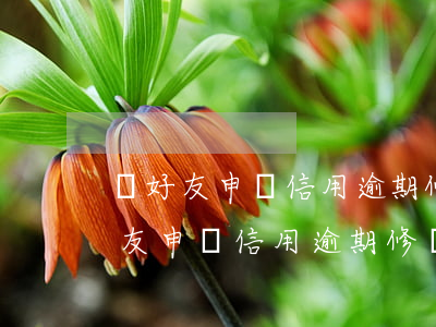 幫好友申請信用逾期修復(fù)資格(幫好友申請信用逾期修復(fù)資格有風(fēng)險不?)