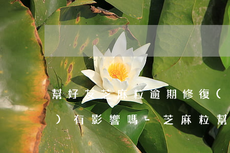 幫好友芝麻粒逾期修復(fù)會(huì)有影響嗎-芝麻粒幫別人修復(fù)逾期