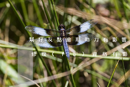 幫好友點逾期助力有影響嗎(幫好友獲得逾期修復(fù)資格有影響嗎)