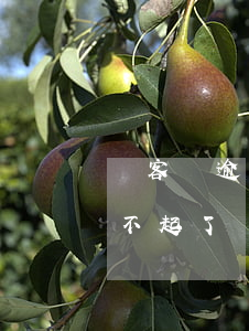 幫客幫逾期打家人電話怎么投訴-幫客幫還不起了