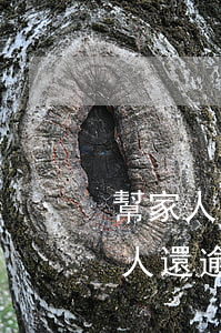 幫家人的逾期信用卡還最低額度-怎么幫家人還逾期信用卡