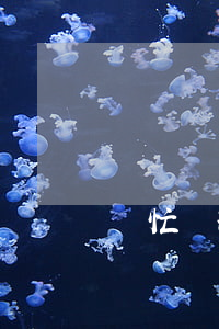 幫忙處理逾期怎么收費(逾期找人處理)