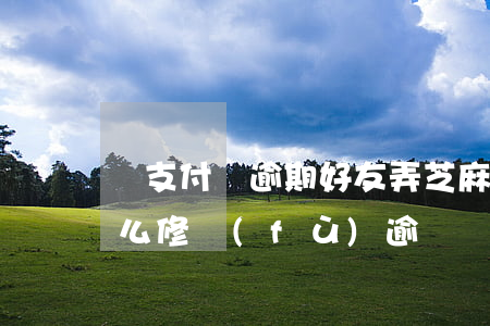 幫支付寶逾期好友弄芝麻粒(支付寶芝麻粒怎么修復(fù)逾約)