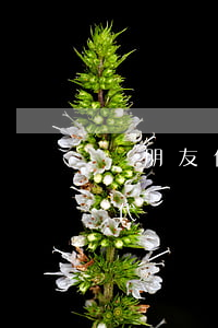 幫朋友代還信用卡不還我（信用卡逾期怎么找代還）