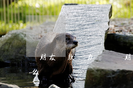 幫朋友貸款無力償還 幫朋友貸款無力償還怎么辦