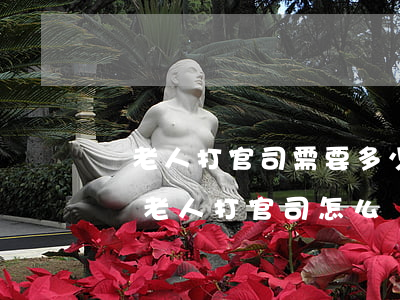 幫老人打官司需要多少錢(qián)(80歲老人打官司怎么請(qǐng)律師)