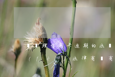 幫處理信用卡逾期的法務(wù)怎么收費(fèi)(法律有沒有規(guī)定信用卡逾期收費(fèi)多少)