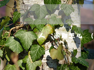 幫親人還逾期怎么協(xié)商還款