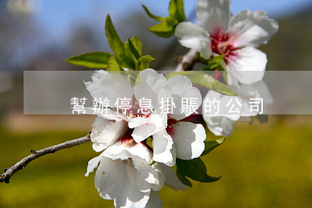 幫辦停息掛賬的公司