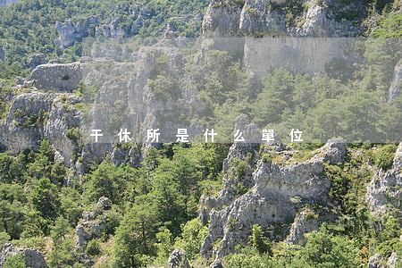 干休所是什么單位