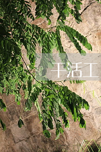 干活工錢的欠條怎么寫(欠工錢的欠條怎么寫)
