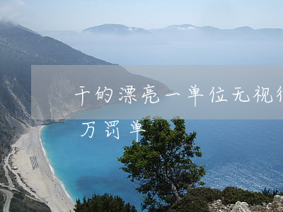 干的漂亮！一单位无视“律师调查令”，法院开10万罚单！