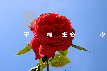 干貨來啦，車主必備：車險小常識