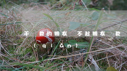 干貸款的朋友還不起(朋友貸款還不上找我借錢(qián))
