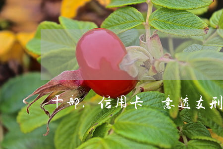 干部.信用卡惡意透支(刑法信用卡惡意透支)