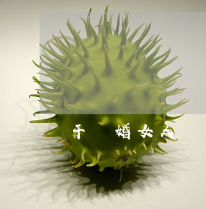 干離婚女人